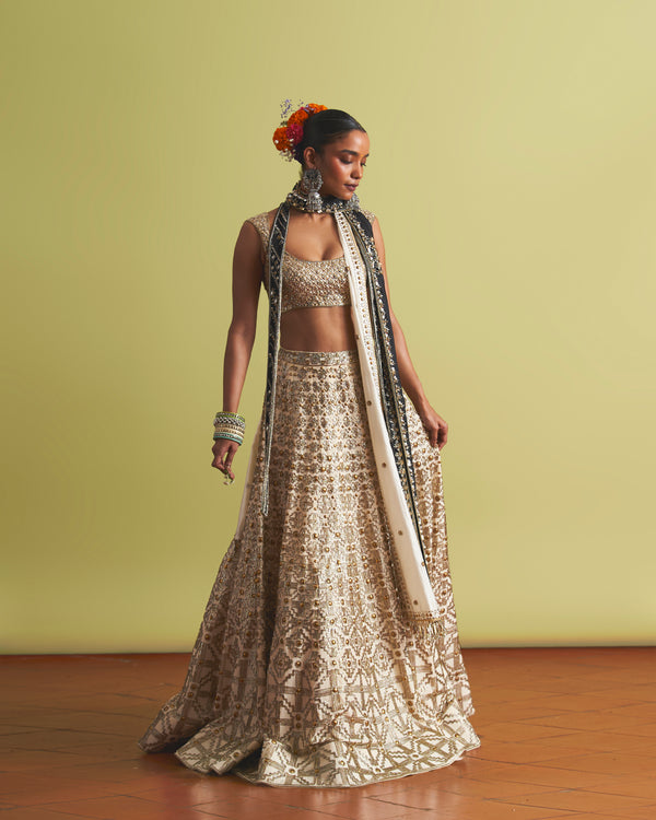 Lyra Lehenga & Blouse Set